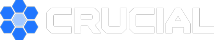Crucial Agency Logo